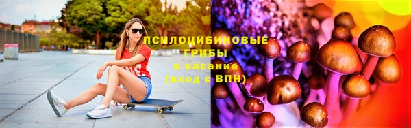 ECSTASY Алзамай