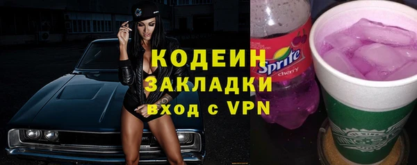 шишки Киренск