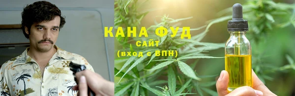 ECSTASY Алзамай