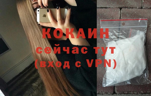 бошки Каменка