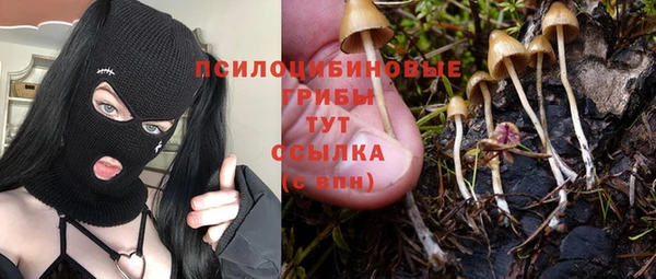 ГАЛЛЮЦИНОГЕННЫЕ ГРИБЫ Алексеевка