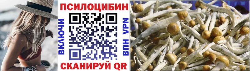 Галлюциногенные грибы прущие грибы  где купить   Апшеронск 
